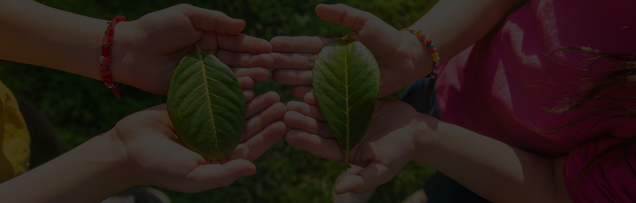 sostenibilità ambientale