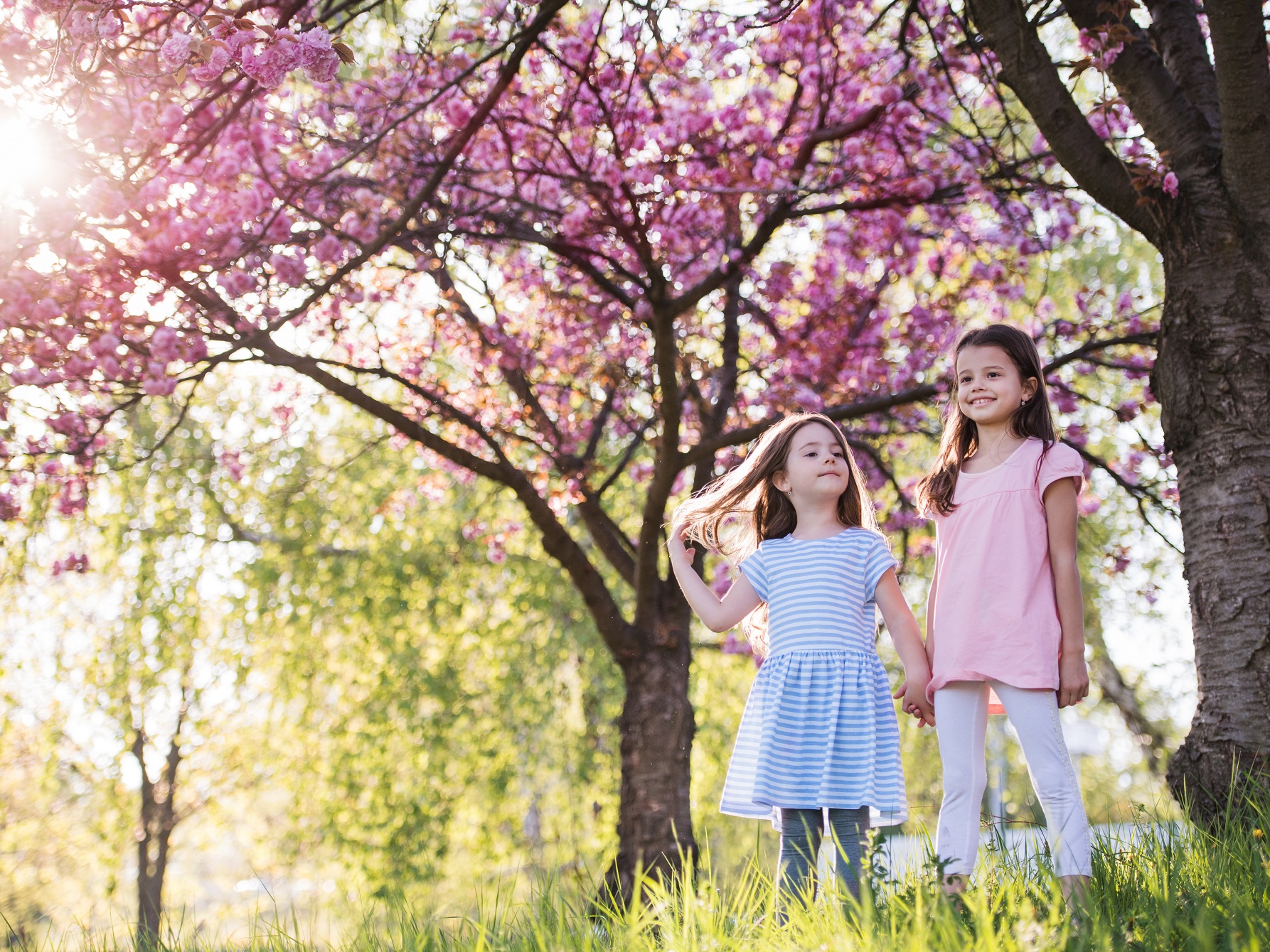 lesocs abbigliamento